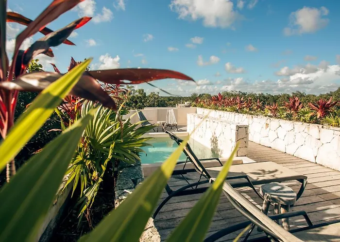 Vida Boho 12 With Special Fee To Access Bardo Appartement